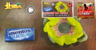 Part 3︱华裔狼教授 涉3地非礼性侵 女孩藉上厕所逃离魔掌