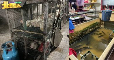 有鸡寮、鱼池、宰鸡区域 外籍人士杂货店 被查封