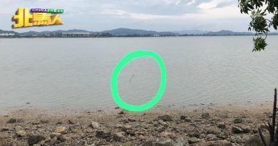 30岁失业男    坠海溺毙