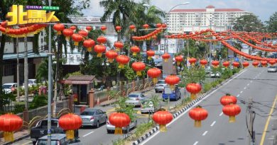 拉惹乌达4.2公里街头  万盏灯笼高高挂迎龙年