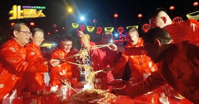 龙年对华裔是好年  沙努西冀华裔多生育