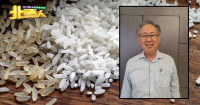 下月政府推昌明大马白米 米商未接获通知