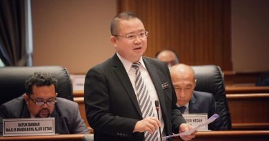 曾经的YB︱ 从政要先打好收入基础 林桂亿：议员只是“副业”