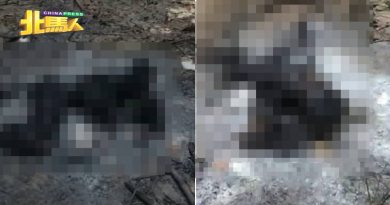 油棕园出现焦尸  死因不详