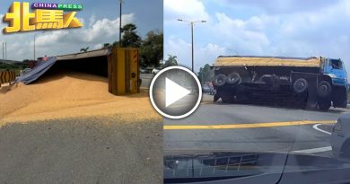 罗厘疑赶绿灯转弯 失衡翻覆玉米散一地