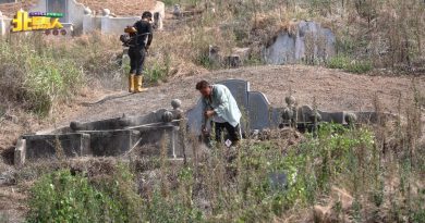 今日北马头条｜除草修碑添土清洁 美化墓园费 不拖欠