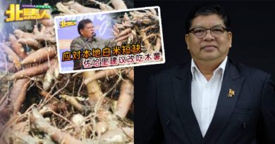 木薯取代白米建议受抨击    佐哈里为健康爱吃木薯