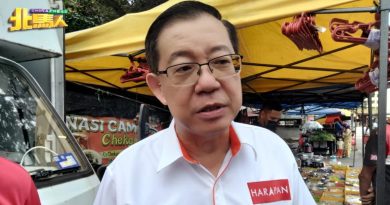 国会重提120万中国游客在马谎言 林冠英问民政能否让西蒂撤论道歉