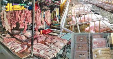 今日北马头条｜猪肉价格涨不停 业者也受不了 提2建议向政府求助
