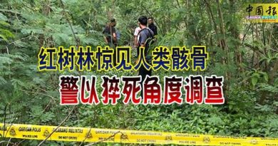 红树林惊见人类骸骨 警以猝死角度调查