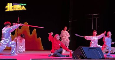 理大功夫之夜复办   座无虚席表演精彩
