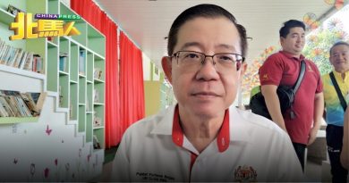 可享有更开明的经济制度 林冠英认同 大马加入BRICS