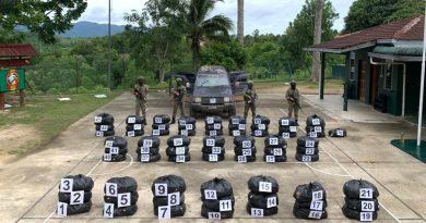 武装部队发现可疑车 起700公斤葛冬叶