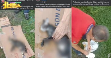 猫被装入麻袋抛入排水沟 目睹者 : 当时麻袋内仍有移动