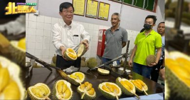 州政府无权批准公民身分 曹观友： 仅协助民众申请