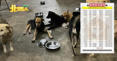 今日北马头条 | 吉SPCA欠诊所近万八  负债太多 停接医浪浪