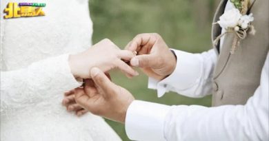 “我的人生 我做主” 不会为人口 而结婚