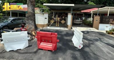 屋外大树树根破坏民宅  市议会修剪清理 并修路