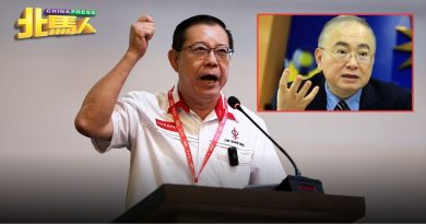 林冠英轰魏家祥攻击林慧英 指魏导致渡轮服务无法恢复