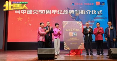 中马贸易额首半年逾1000亿美元 丁巧：同比去年增长10.6%