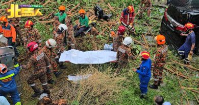 树倒压死2人 | 2死者原定今日返国 家属接获通知已赶来