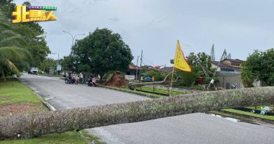 双溪大年多区风灾  至少10车子受灾被压
