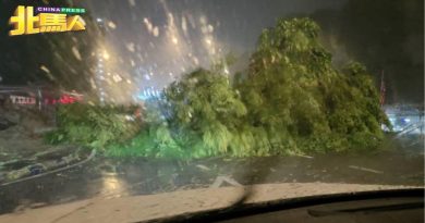 暴风雨再袭槟岛 崔耀才路树倒阻交通
