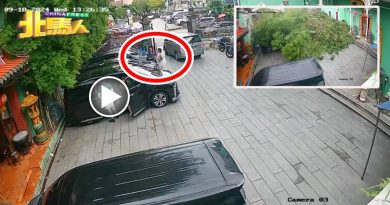 树倒压死2人︱大树倒下视频曝光  留下2名死者最后身影