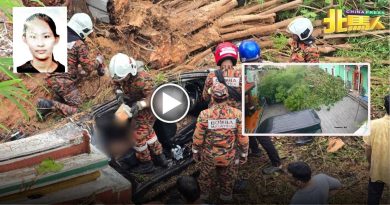 狂风暴雨 大树轰然倒下 压毙中国父女 司机被救