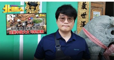 树倒压死2人︱ 临走前下雨 决定返博物馆避雨 30秒后树倒 韩国游客逃过一劫