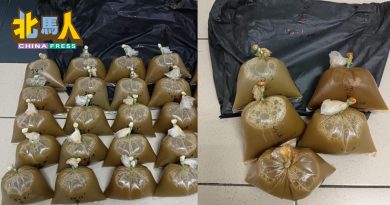 涉贩卖葛冬水  警捕5男子
