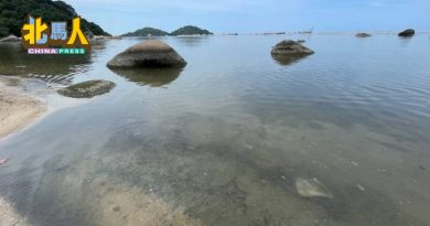 伊森海滩样本 化验报告数月后出炉
