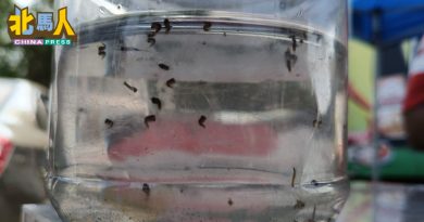 第45个流行病学周 全槟新增81骨痛热症
