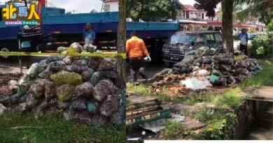 卖完椰水留下垃圾 市厅被迫善后清理