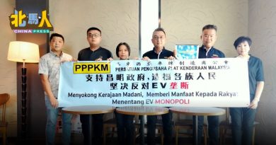 车牌制造商公会：反对垄断 质疑98令吉EV车牌 集4安全特征