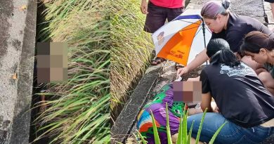 华妇早上公园散步  坠沟受伤送院治疗