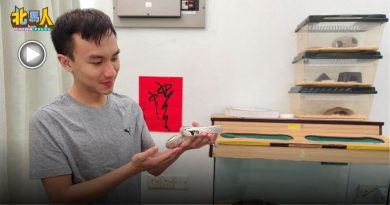 青年破除偏见养6条 上官婉儿我的蛇宝
