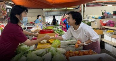 王丽丽鼓励民众到槟城 体验农历新年庆祝活动