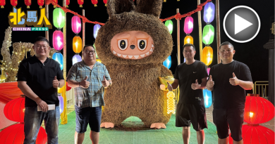 亚罗士打斗母宫农历 新年逾10打卡点  还有顶流LABUBU