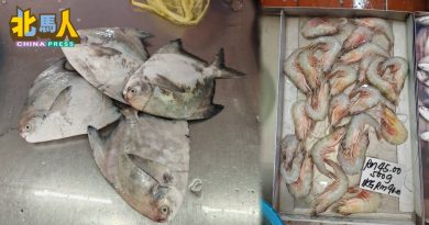 今日北马头条 | 农历新年华人最爱 斗鲳 白鲳 虾涨价10至20％