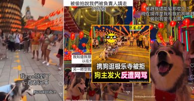 携狗逛极乐寺被赶风波 狗主澄清 当晚获准进入