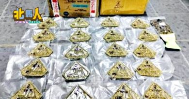 青年寄毒遭逮 4箱大麻价值超5万