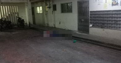 组屋15楼坠下 老妇头破身亡