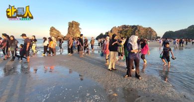 交怡大海分裂奇景重现 逾3500名游客一睹奇观