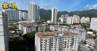高楼住宅禁养扰民宠物  槟市政厅：管理层可采取措施