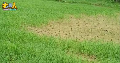 水管污染 断供 稻田缺水灌溉 槟消协呼吁政府保护水源区