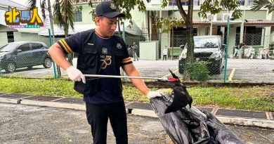 槟市政厅展开乌鸦射击行动　 4枪手猎杀93乌鸦