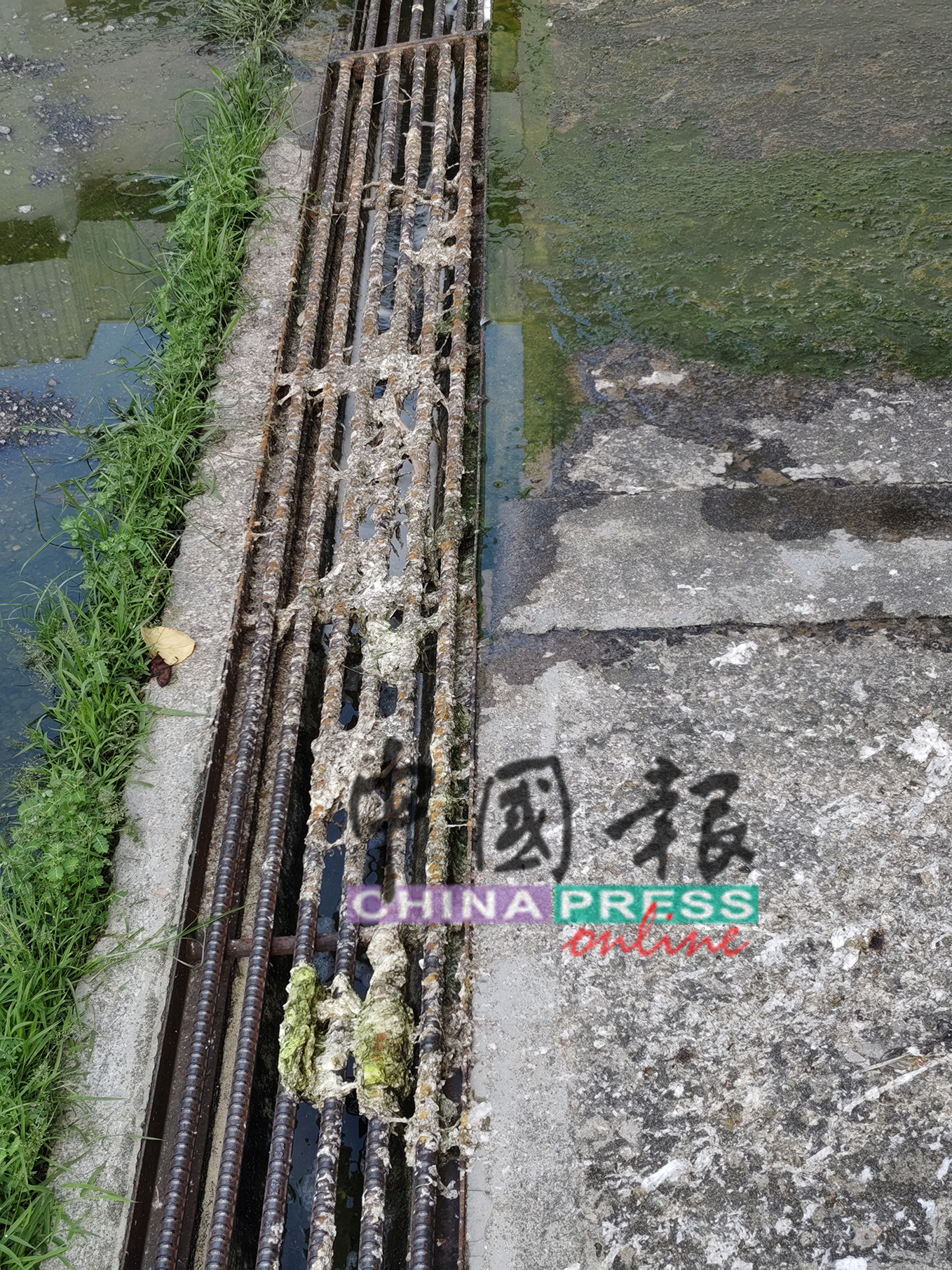 排污管道附近的沟渠，因为粪便流入，肮脏不堪。