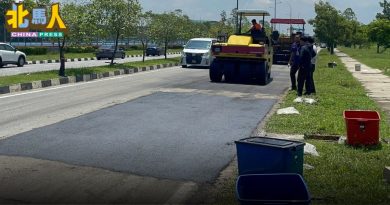 桂花城局部路铺生物炭沥青 再里尔：测试环保材料效果