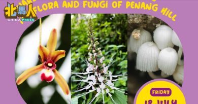 升旗山嘉年华7月登场 3免费讲座揭开生态与人文奥秘